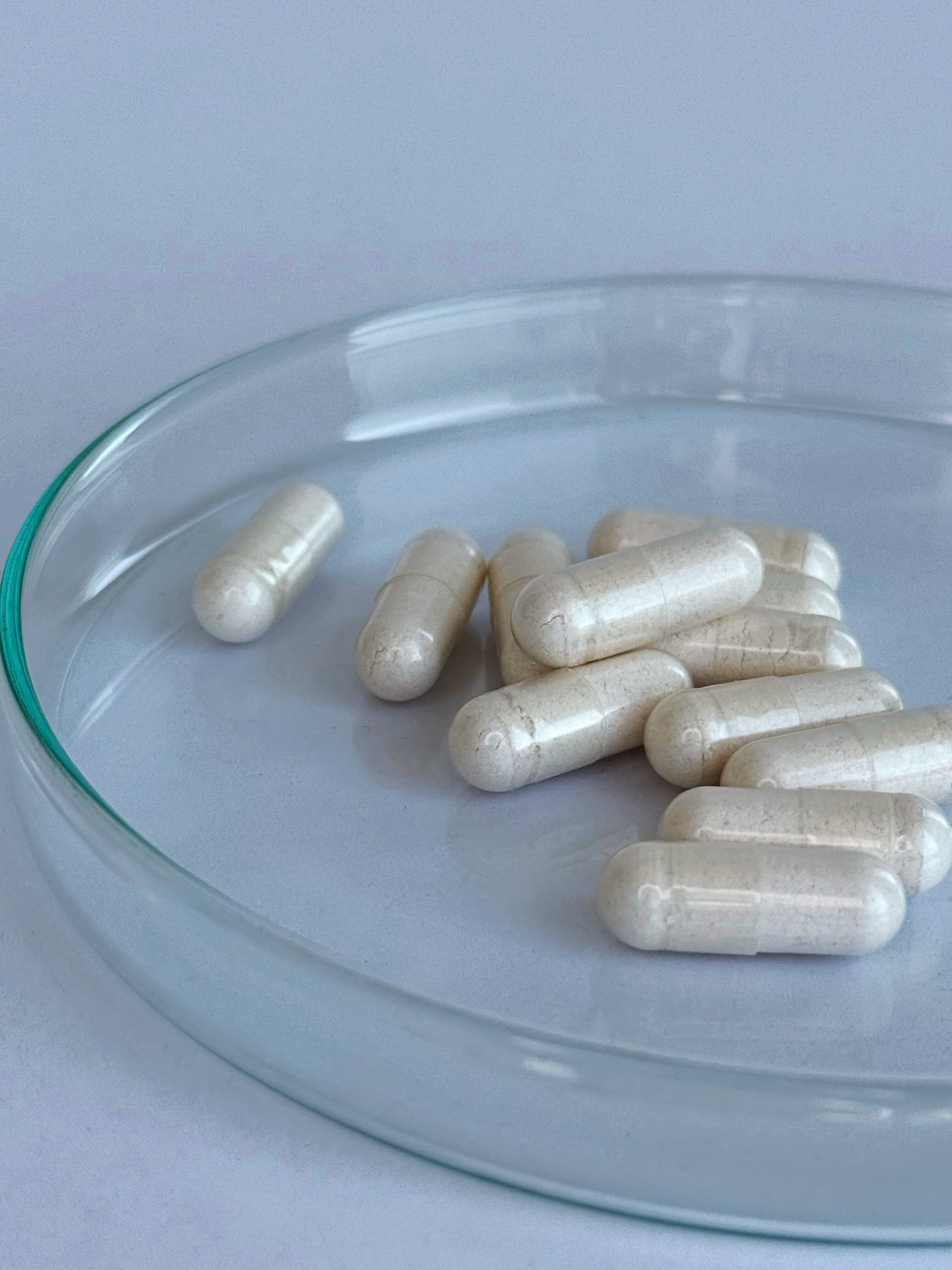 EGCg Kapseln 450mg (60 Portionen, 60 Kapseln)