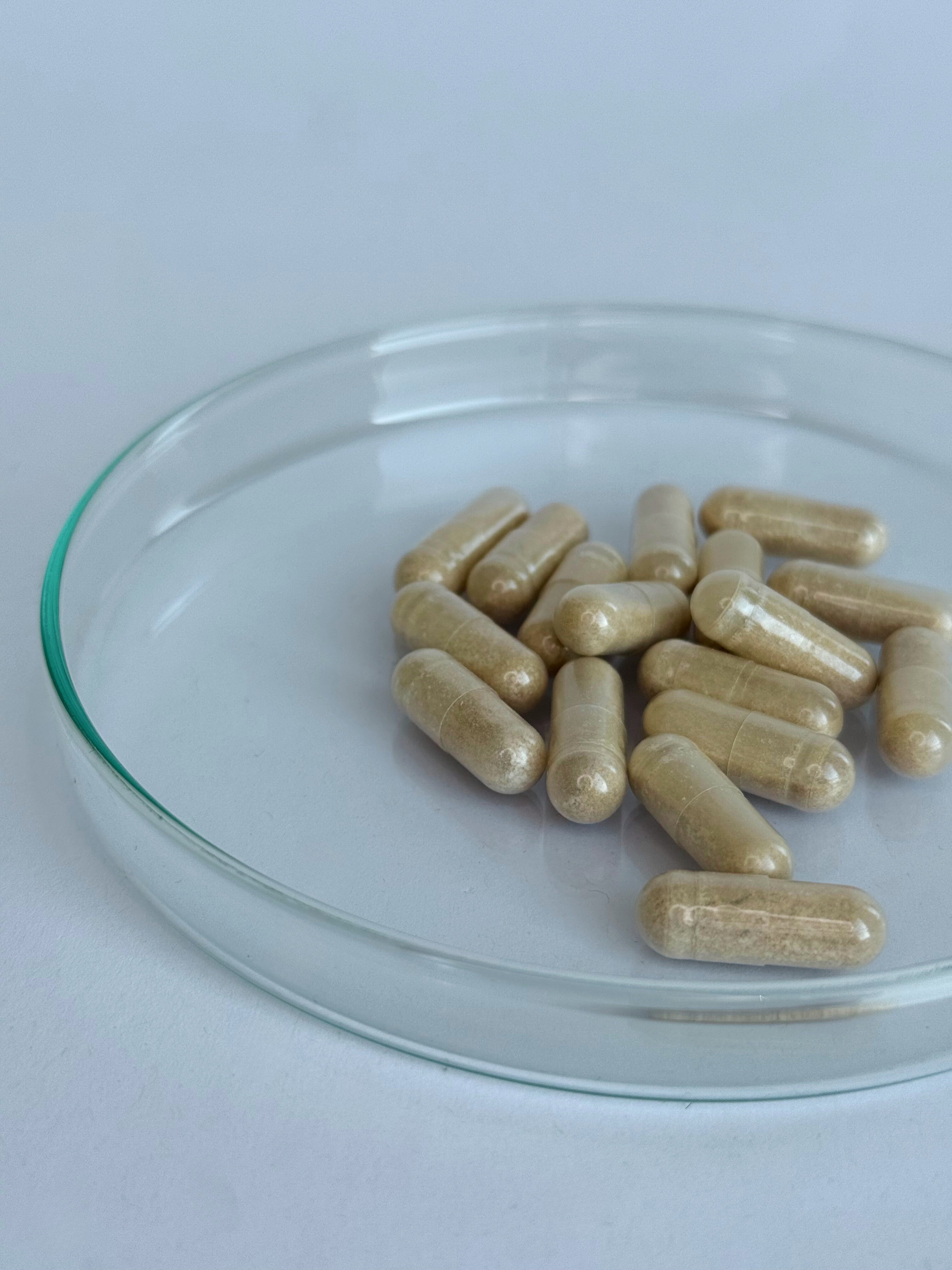 L-Theanin Kapseln 200mg (30 Portionen, 30 Kapseln)