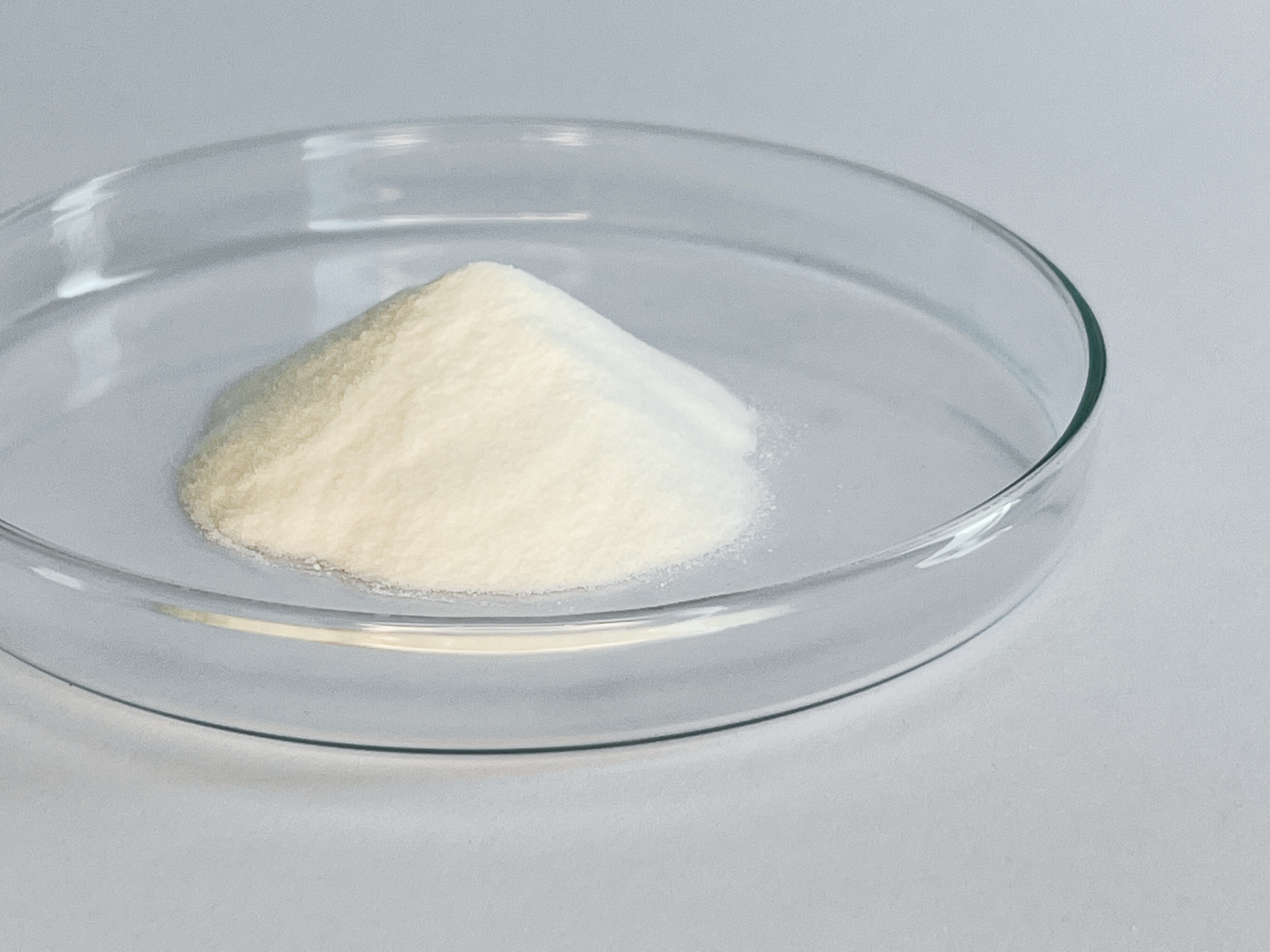CaAKG Kapseln 350mg (30 Portionen, 60 Kapseln)