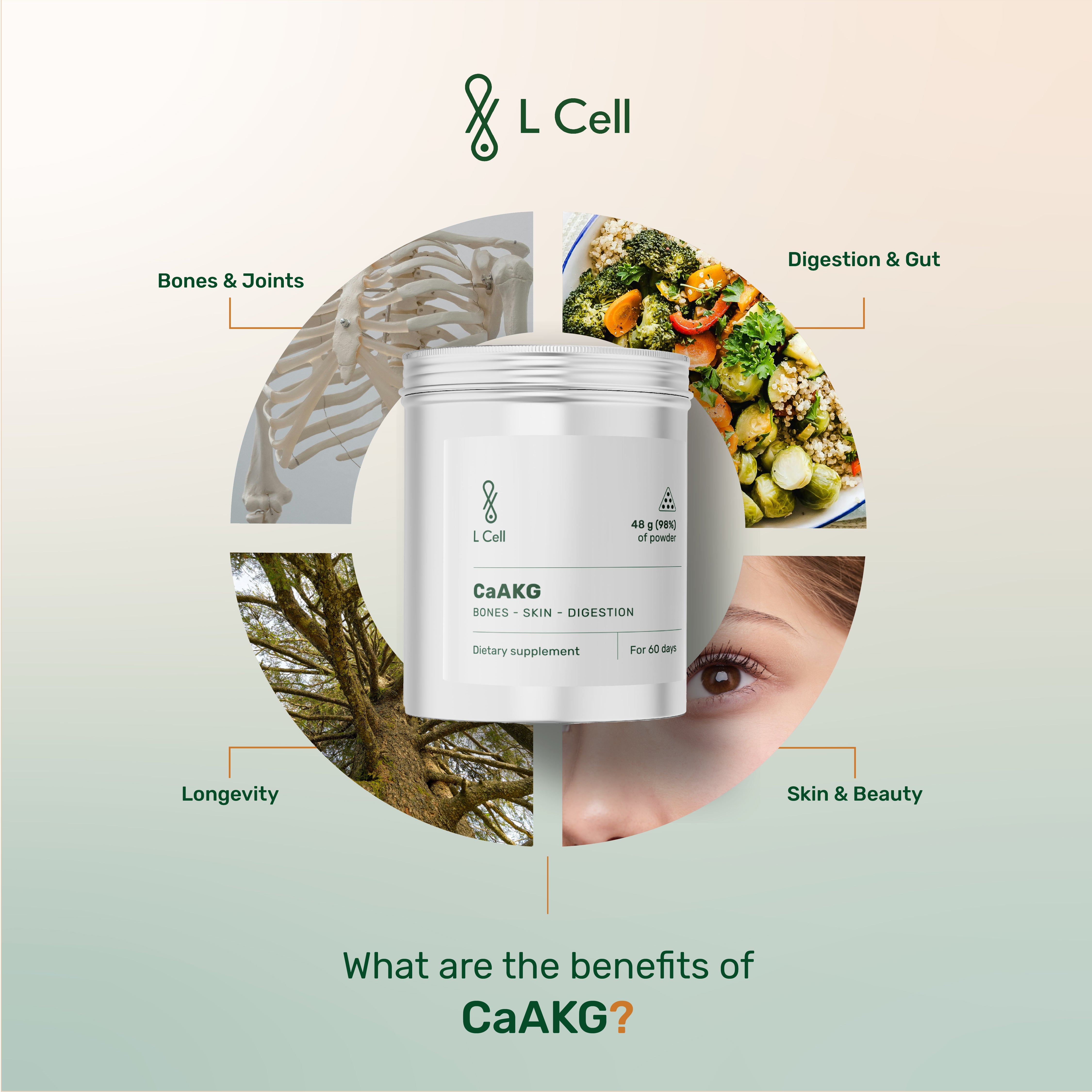 CaAKG Kapseln 350mg (30 Portionen, 60 Kapseln)