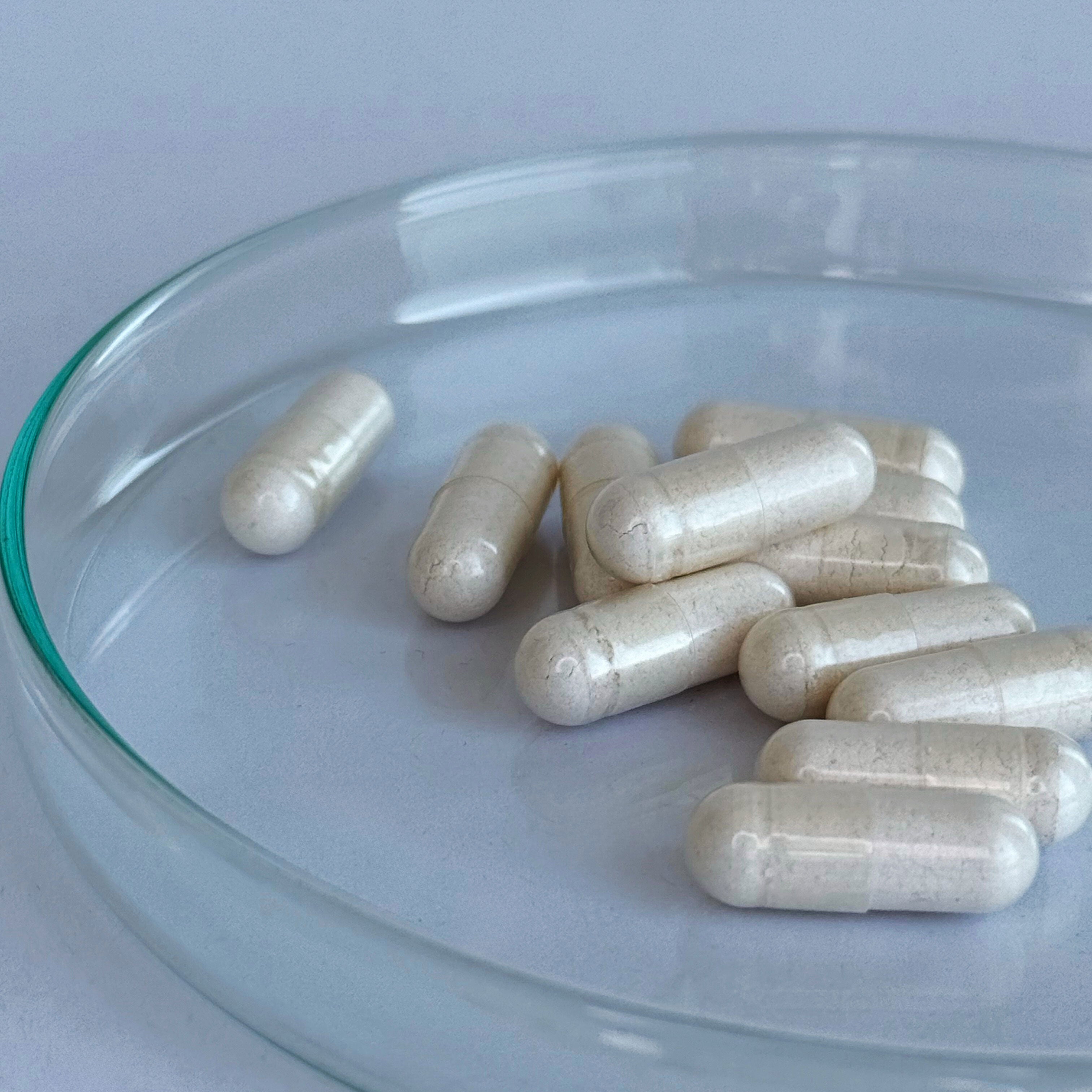EGCg Kapseln 450mg (60 Portionen, 60 Kapseln)