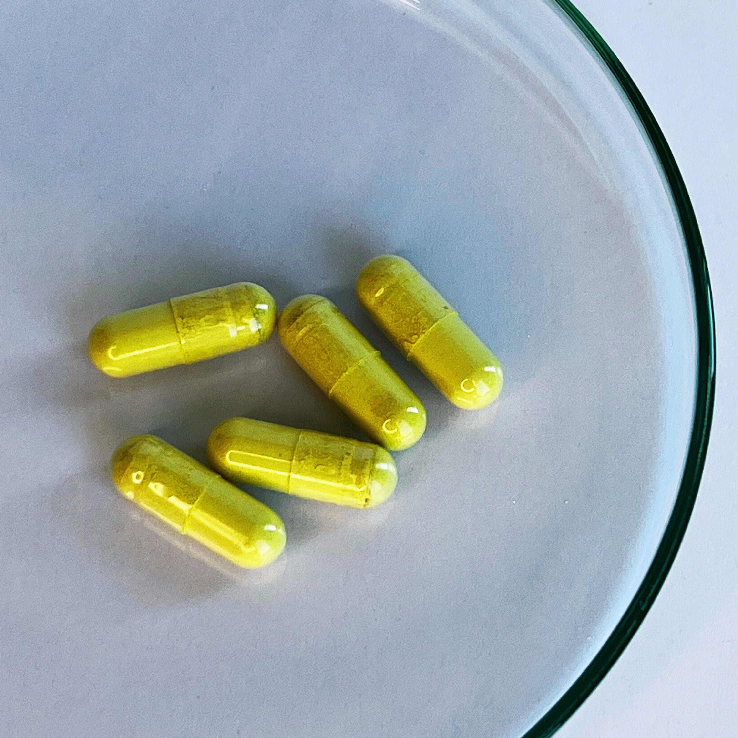 Fisetin Kapseln 250mg (30 Portionen, 60 Kapseln)