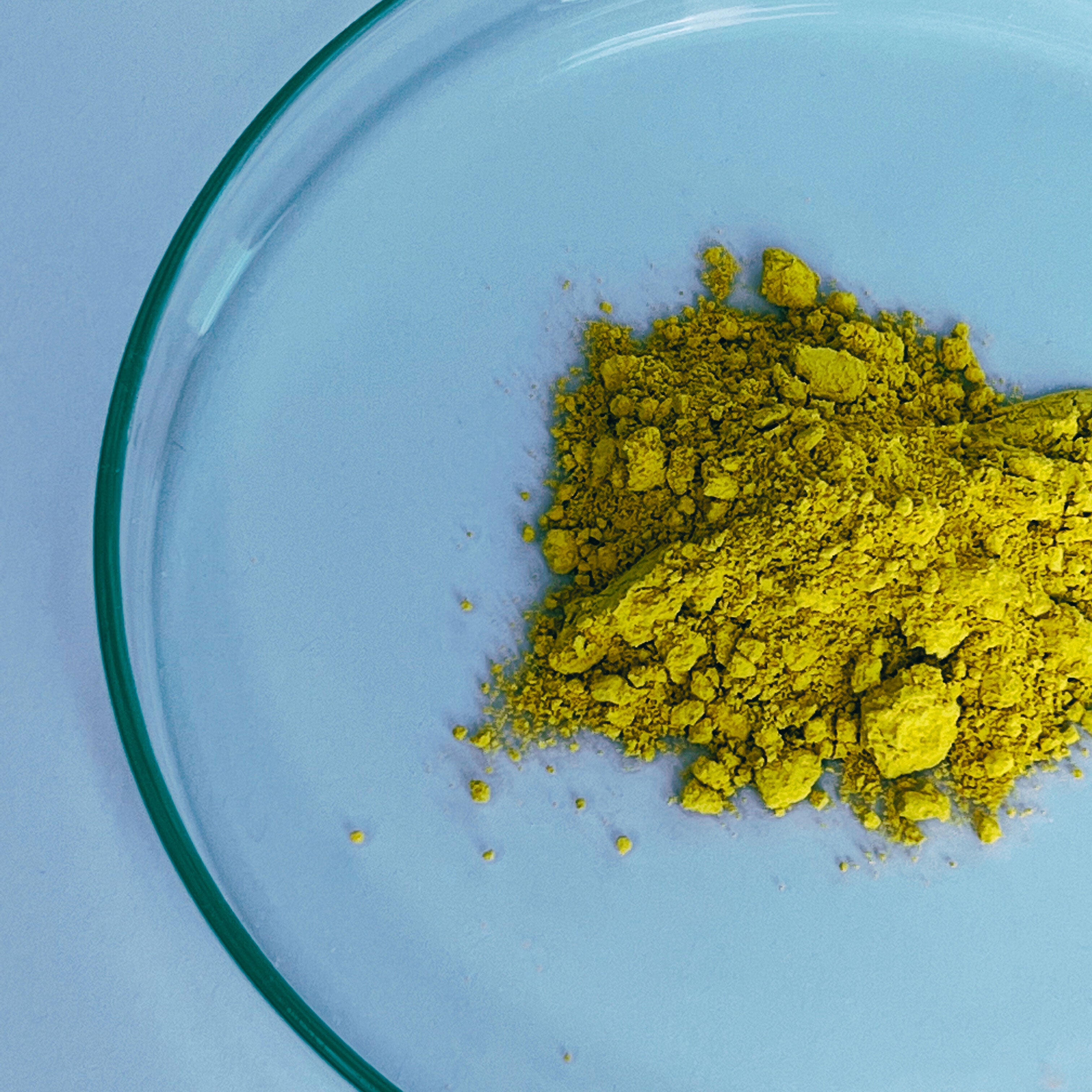 Fisetin-Pulver 15 g (30 Portionen, >98 % Reinheit)