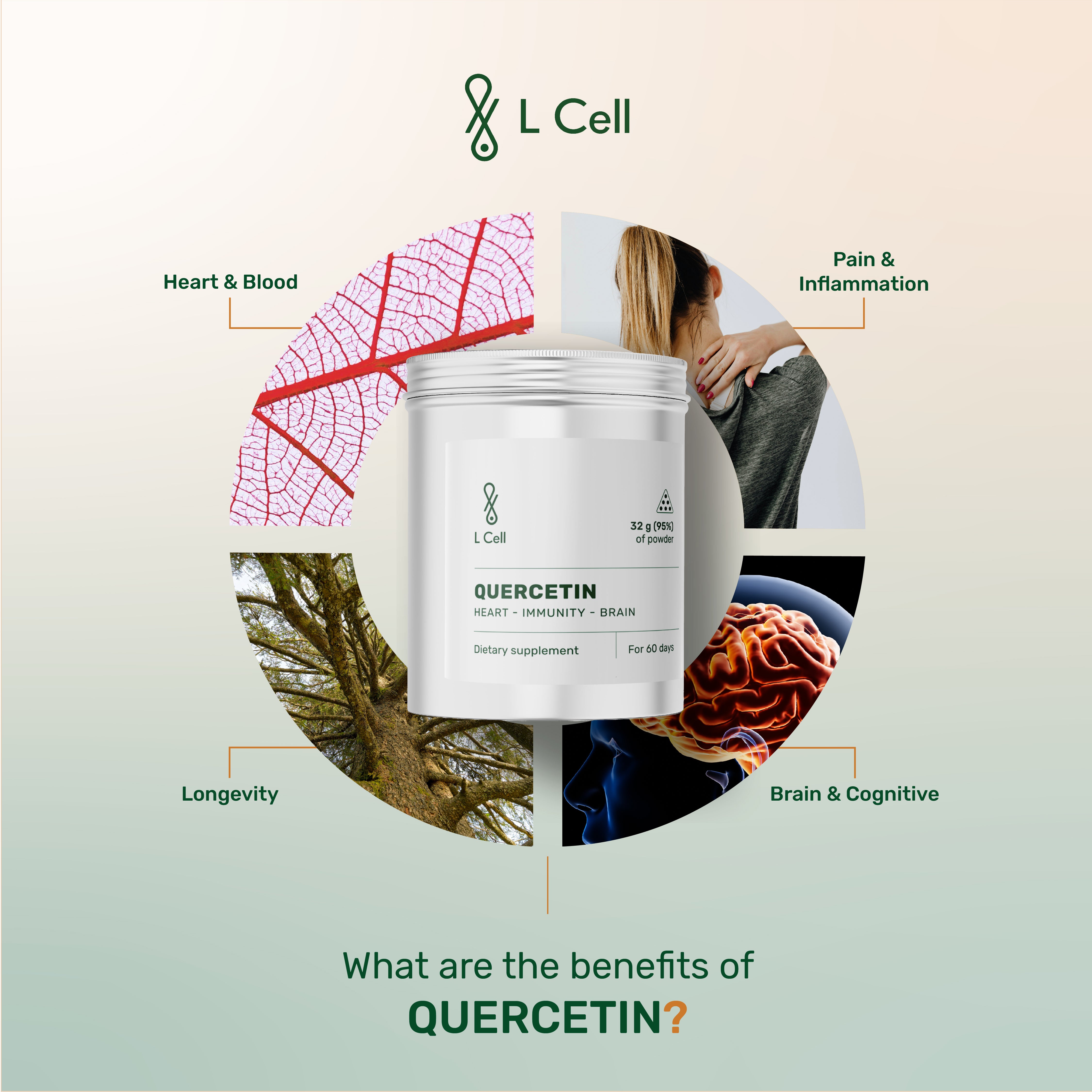 Quercetin Kapseln 250mg (30 Portionen, 60 Kapseln)