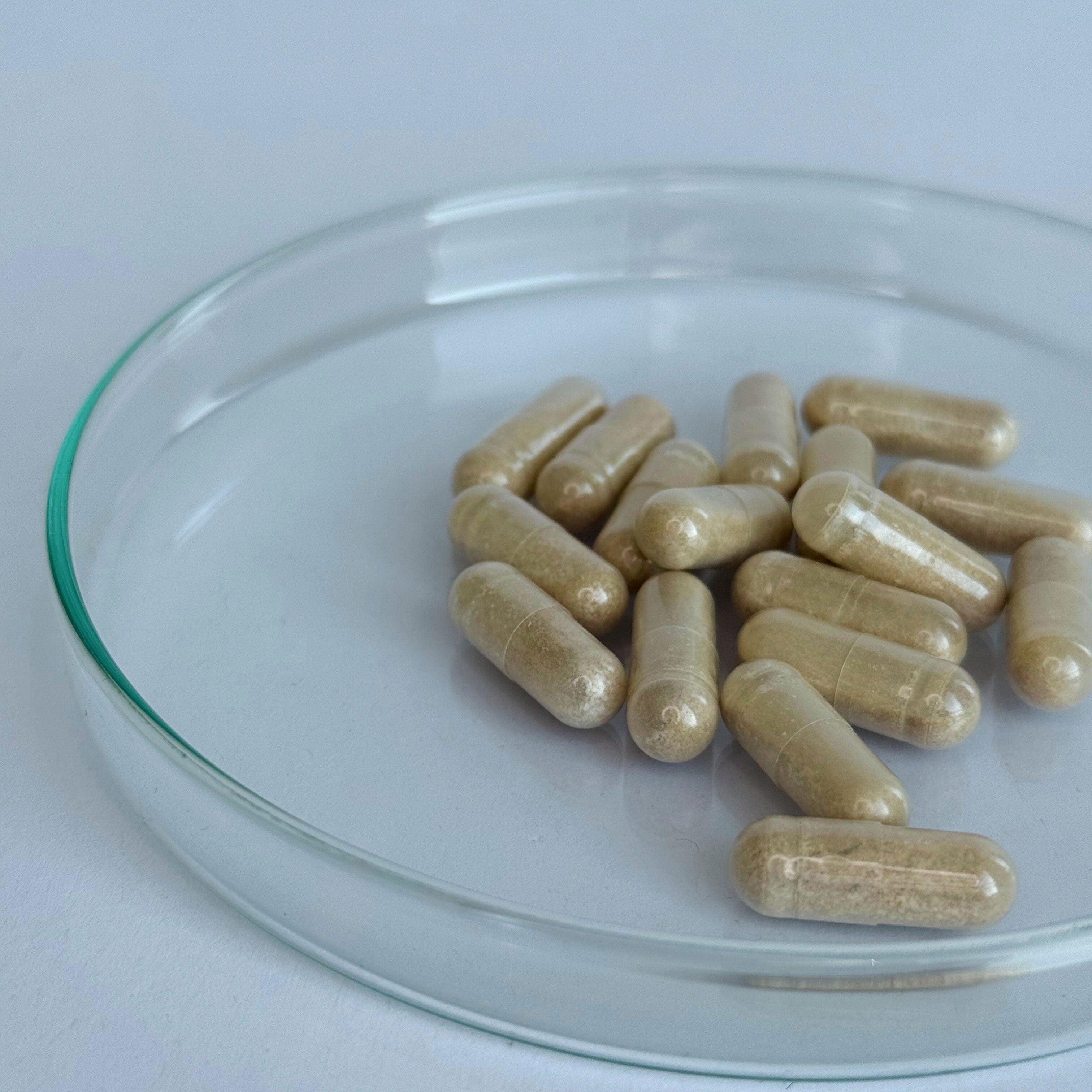 L-Theanin Kapseln 200mg (30 Portionen, 30 Kapseln)