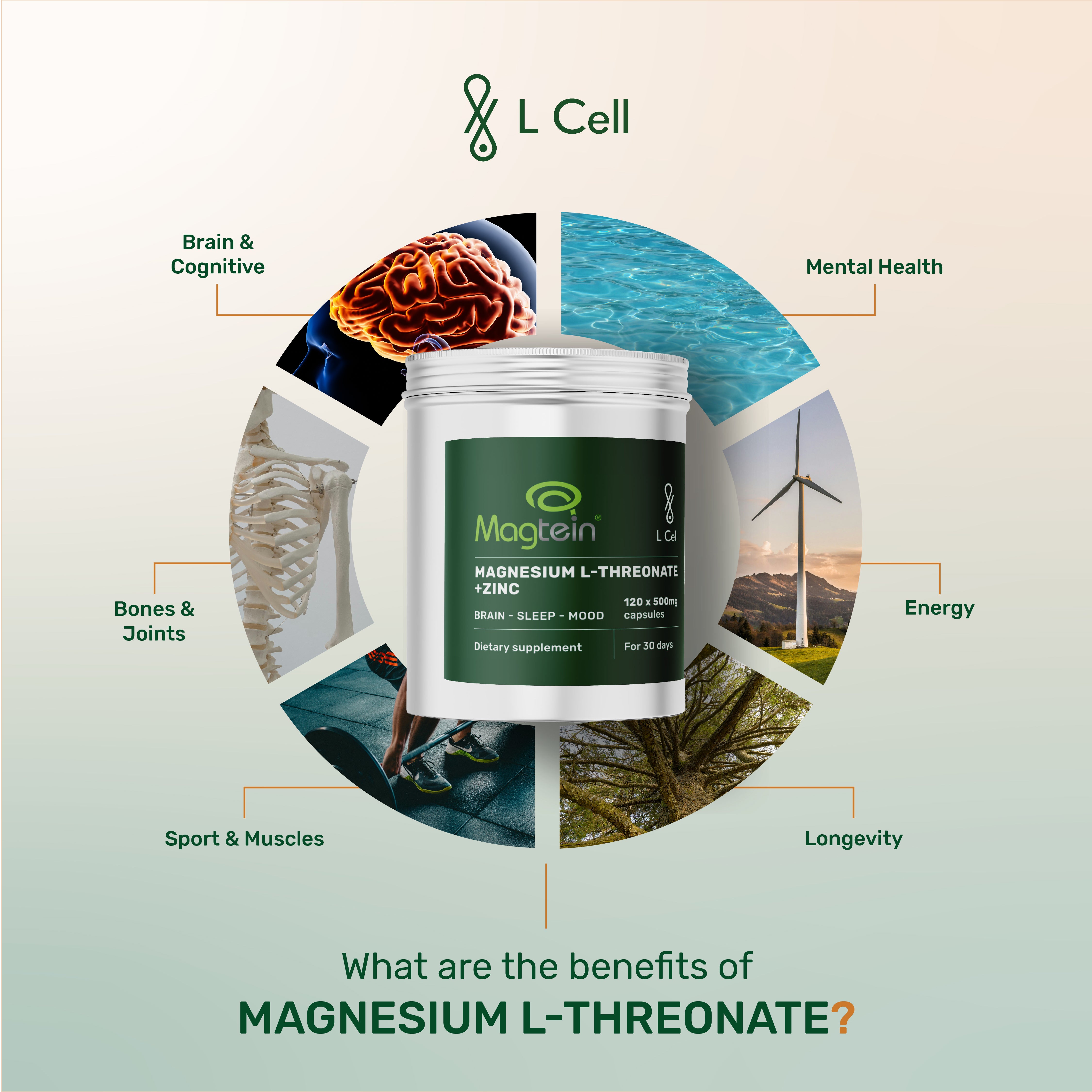 Magnesium L-Threonate Kapseln 500mg (30 Portionen, 120 Kapseln)