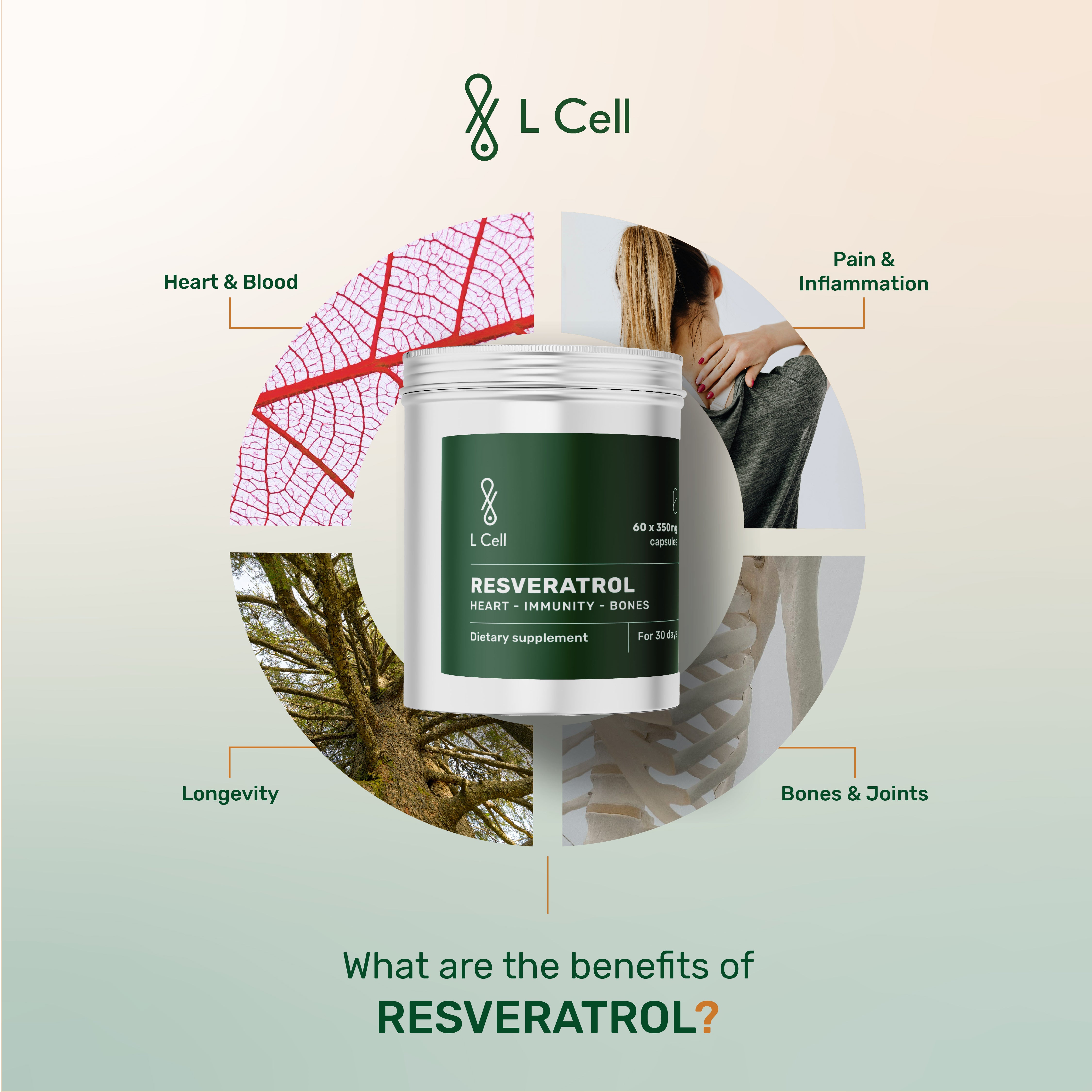Trans Resveratrol Kapseln 300mg (30 Portionen, 60 Kapseln)