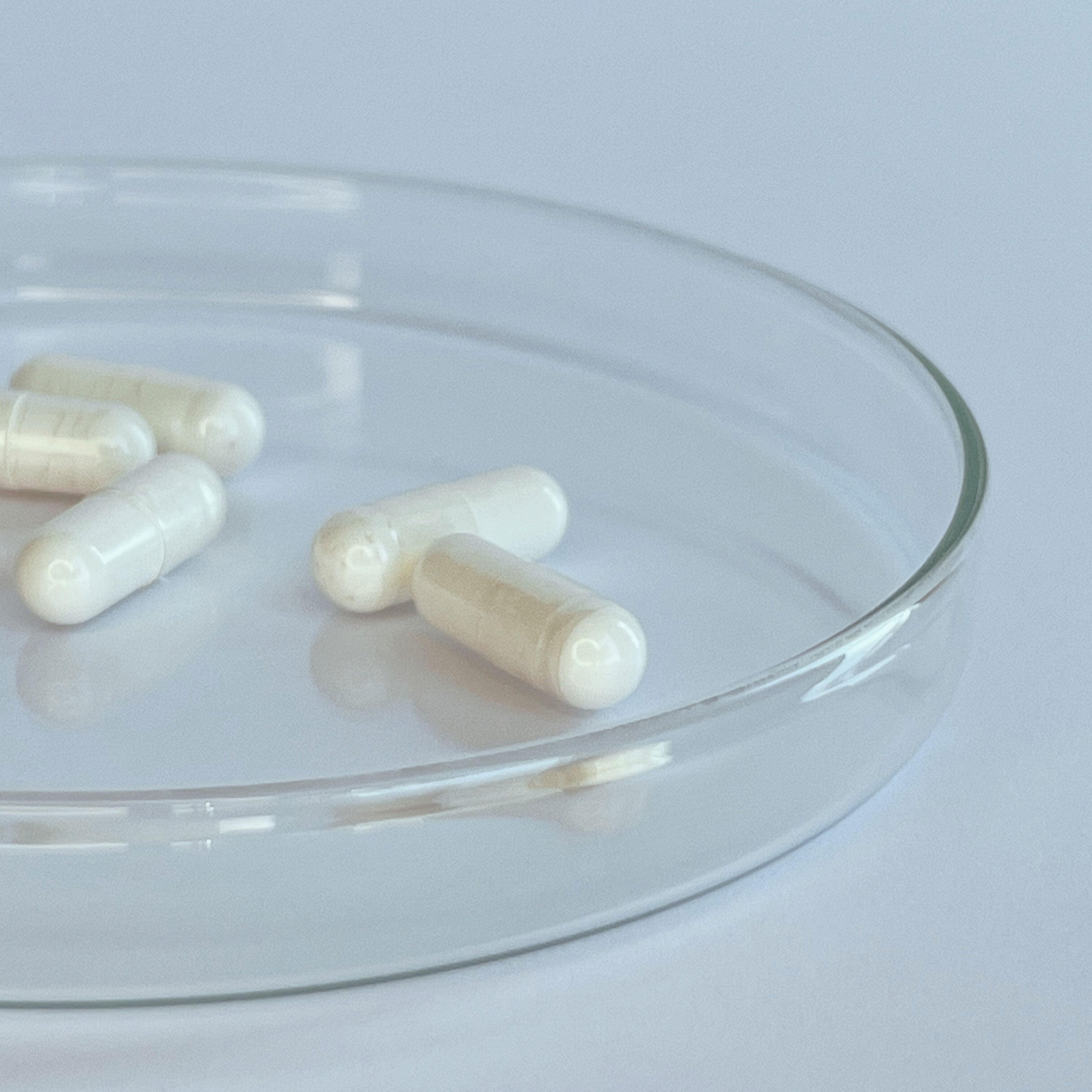 Trans Resveratrol Kapseln 300mg (30 Portionen, 60 Kapseln)