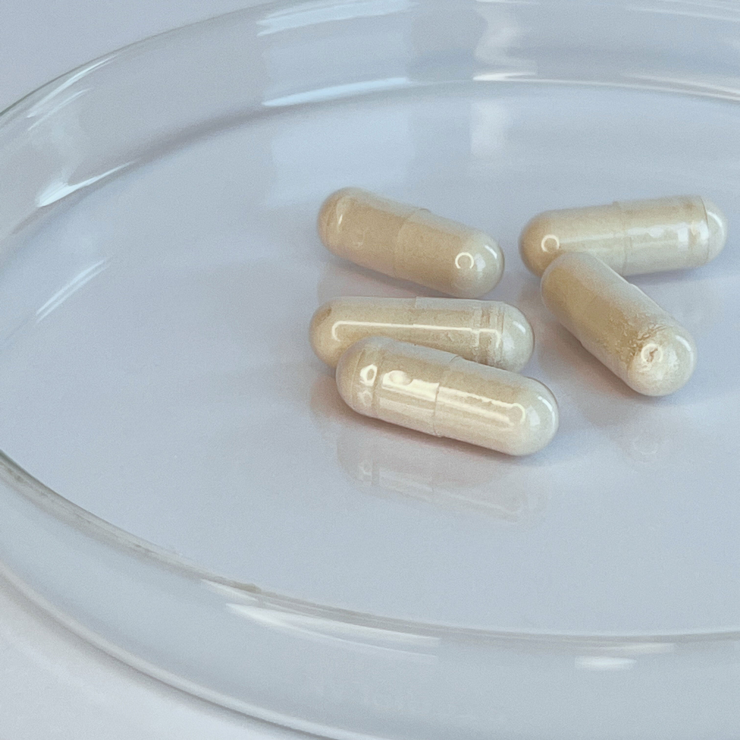 Spermidin-Kapseln 3mg (30 Portionen, 60 Kapseln)