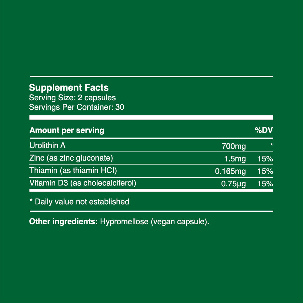 Urolithin A Kapseln 350mg (30 Portionen, 60 Kapseln)