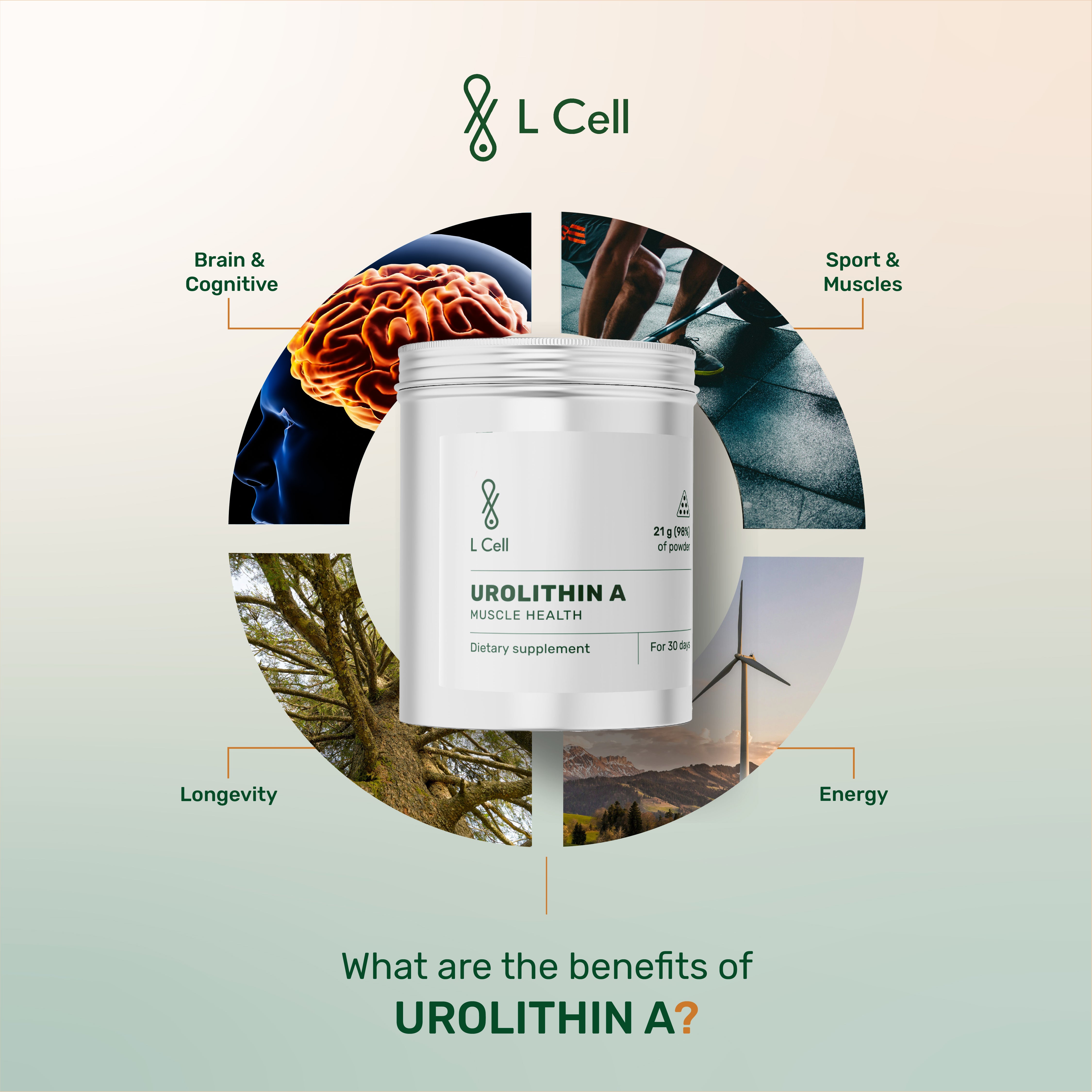 Urolithin A Pulver 21g (30 Portionen, >98% Reinheit)